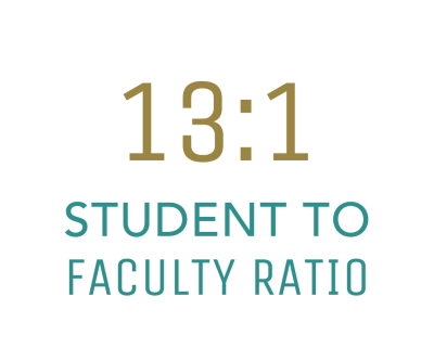 bingo plus net rewards login